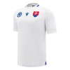 Camiseta de fútbol Eslovaquia Segunda Equipación 2024-25 - Hombre